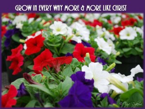 Grow in every way more and more like Christ