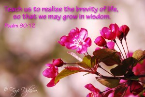 Teach us to realize the brevity of life