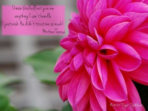 I know God will not give me anything I can't handle. I just wish He didn't trust me so much!