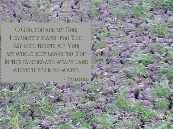 In a dry and weary land where there is no water