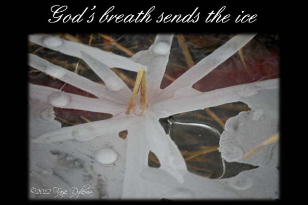 God's breath sends the ice - Job 37:10a
