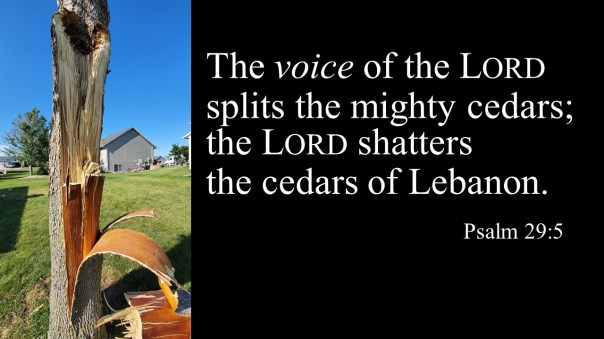 Ps 29 5